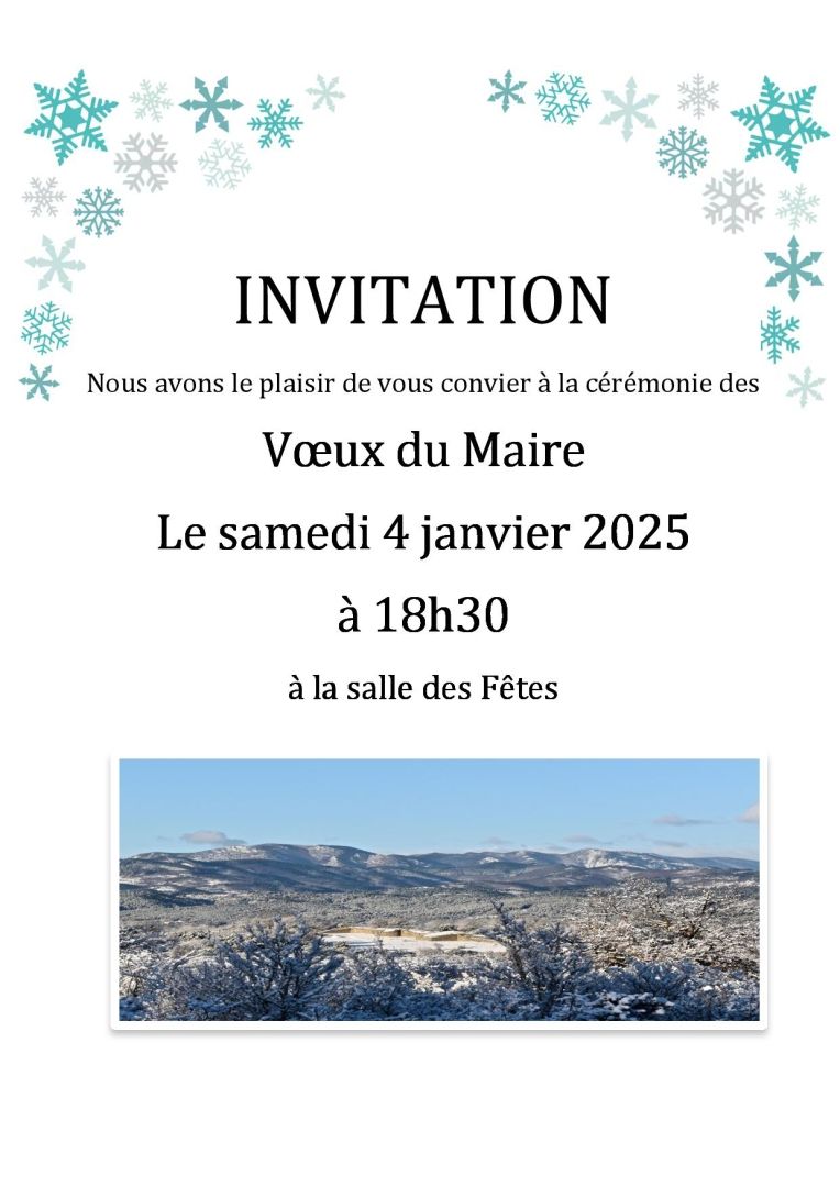 AFFICHE INVITATION VOEUX 2